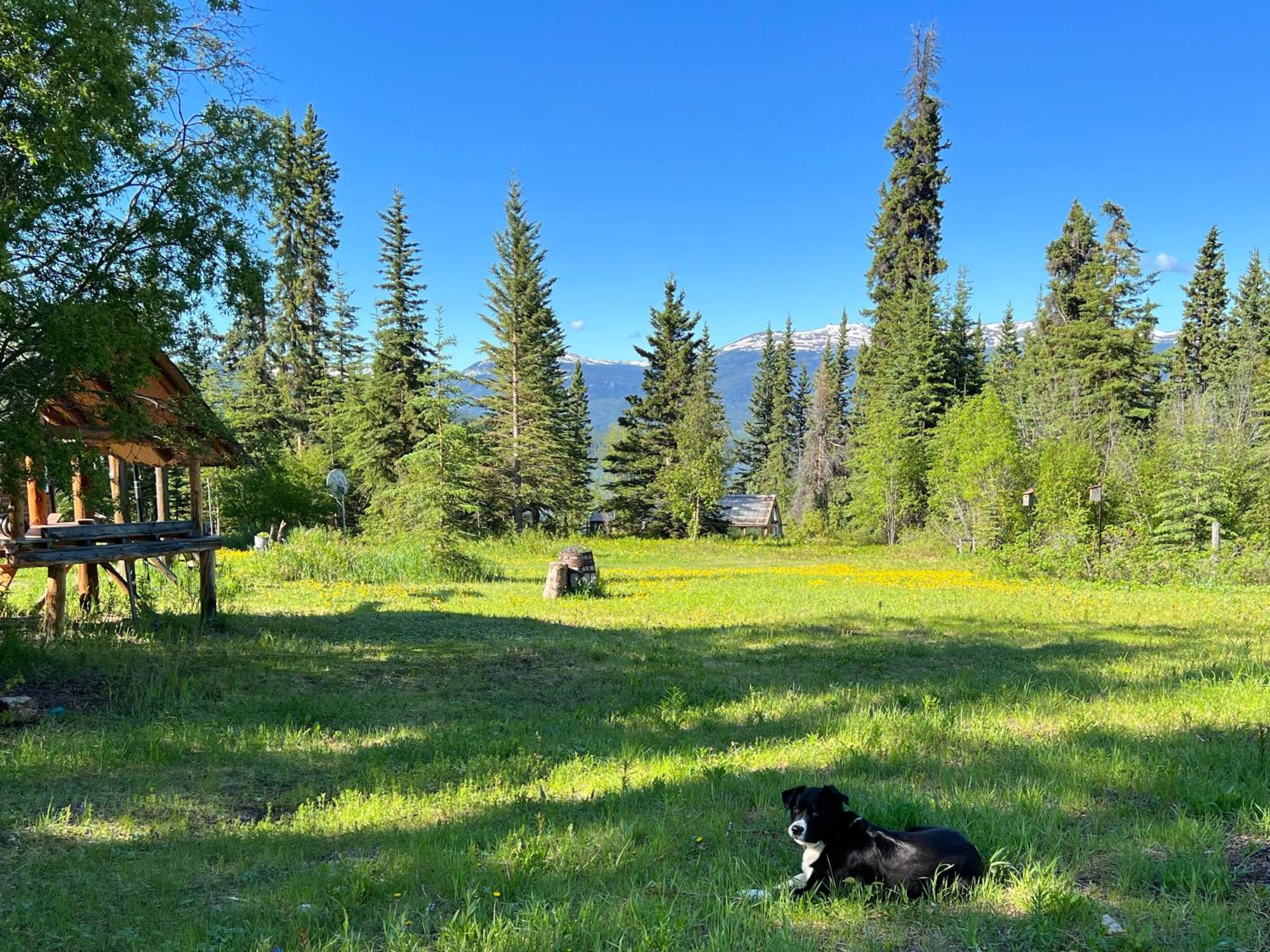 Little Atlin Lodge Tagish 외부 사진
